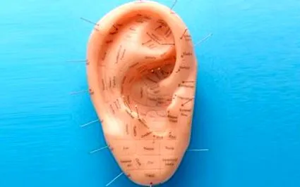 сесията