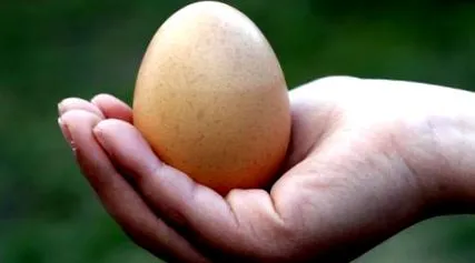 hogyan