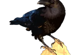 kanári