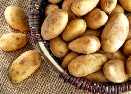 картофи