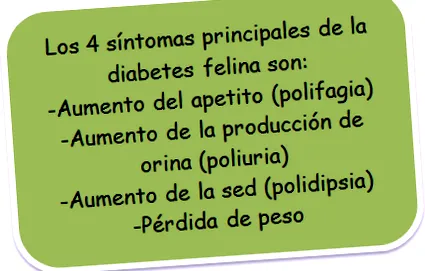 diabetes