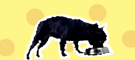 открийте
