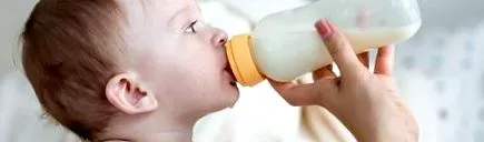 palackot