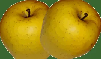 диета