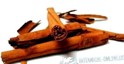 abbahagyására