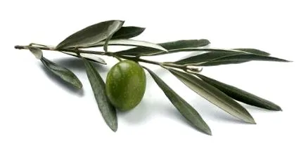 mediterrán étrend
