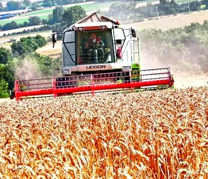 campo