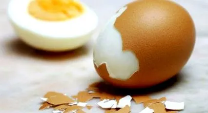 fehérje