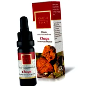 chaga