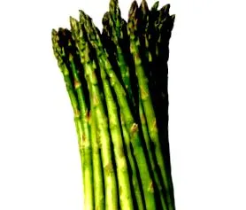 terhesség