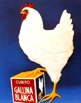 gallina