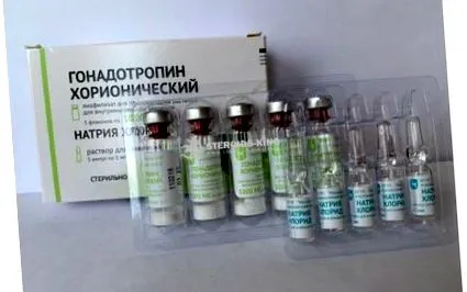Хорион гонадотропин