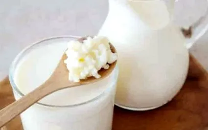 kéfir