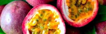 fruit