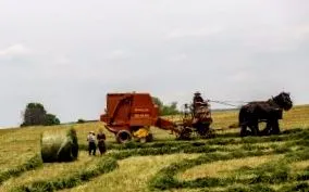 препитание