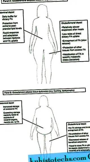 gluteofemorális