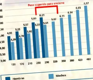 agrártechnikai