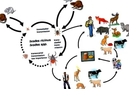 információk