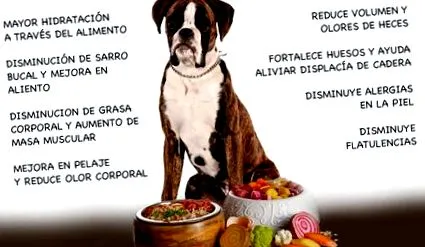 diéta