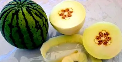 пъпеши дини