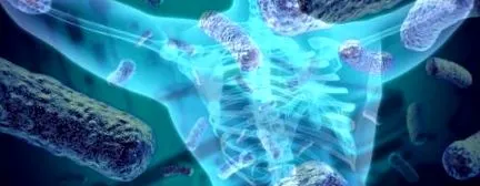mikrobiomra