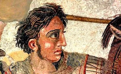 bucephalus