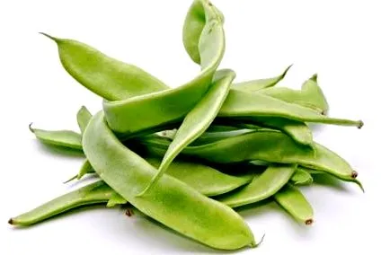 antioxidáns
