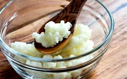 kefir