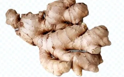 ginger