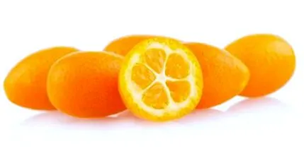 egészséges
