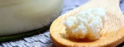 kefir