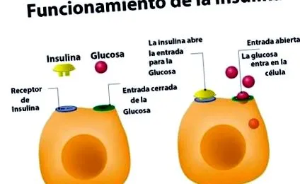 nutrimovimiento