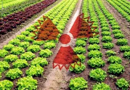 храна