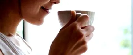 tippek