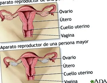 menopauza