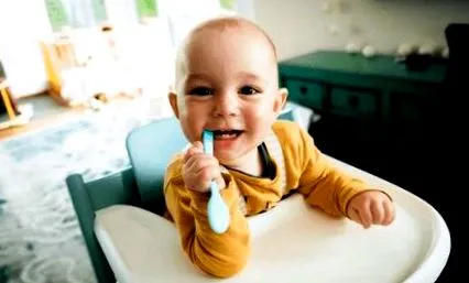 kubot babycook