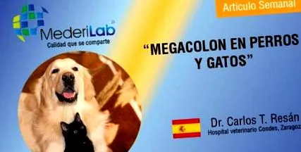 mederilab