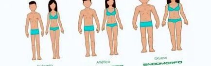 mesotípusok