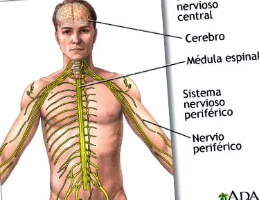 medlineplus