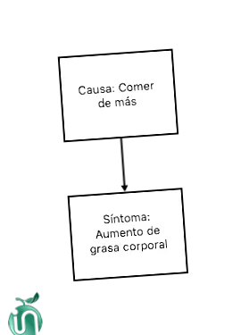 túlsúlyos