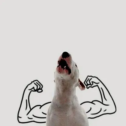 всяка