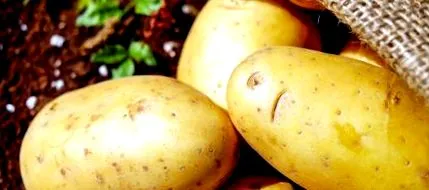 chatidieta