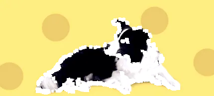 hogy