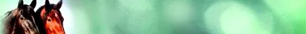pavo