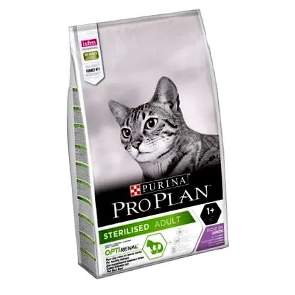 feline