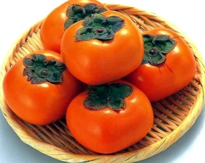 хурма