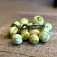 limoncello