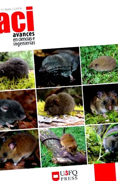 cricetidae