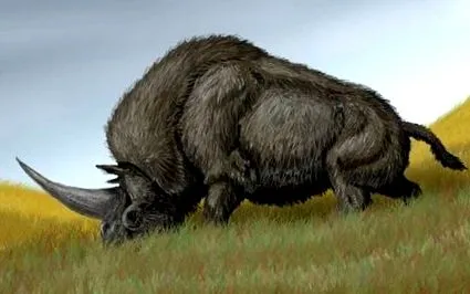 egyszarvúról