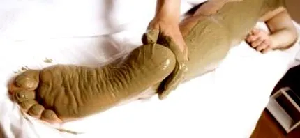 alga